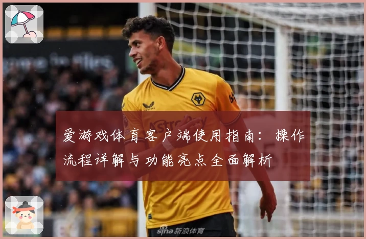 爱游戏体育客户端使用指南：操作流程详解与功能亮点全面解析